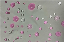 不銹鋼防指紋油有什么用？